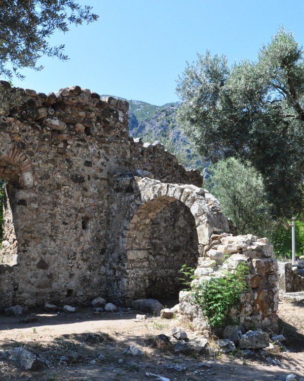 Оранжевый Пансионат Олимпос